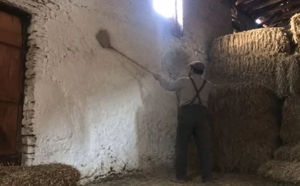 Technician in protective gear scrubbing mold from a basement wall