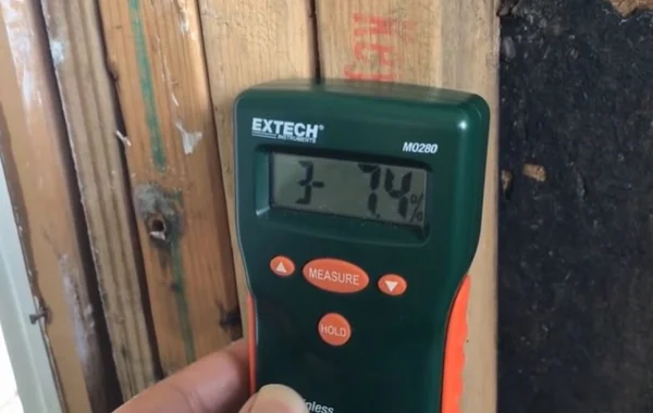 Moisture meter reading taken on a damp wall during a mold inspection