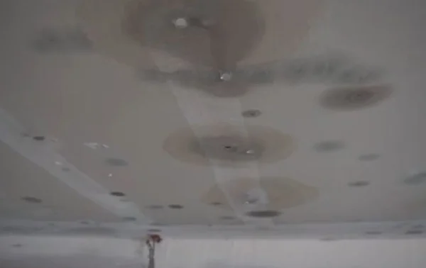 Mold spots spreading across a ceiling
