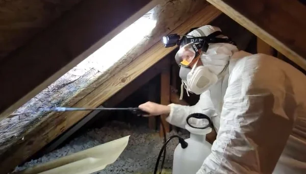 Technician in protective gear treating mold on attic roof boards