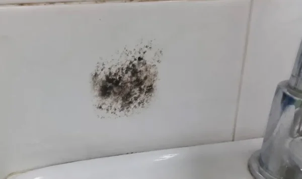 Small patch of mold on a painted wall